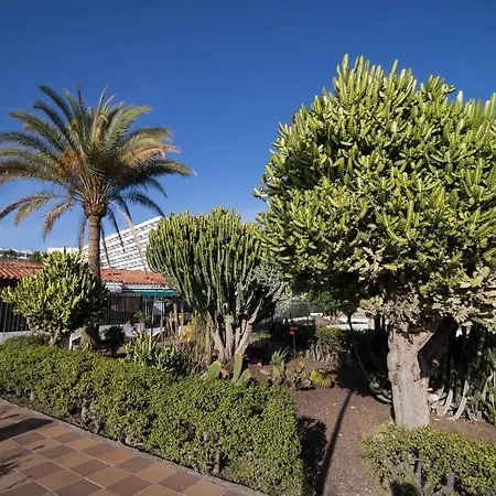 Sunset Апартаменты Сан-Бартоломе