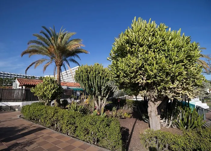 Sunset Apartment San Bartolome de Tirajana (Gran Canaria)